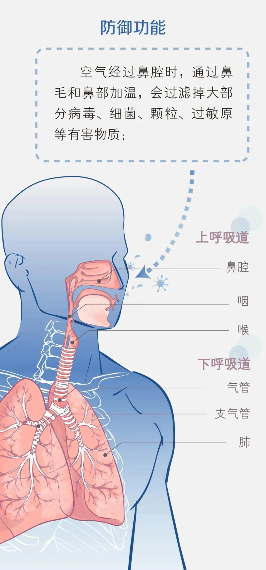 北方呼吸道发病上升